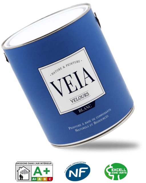 Main Paint Image