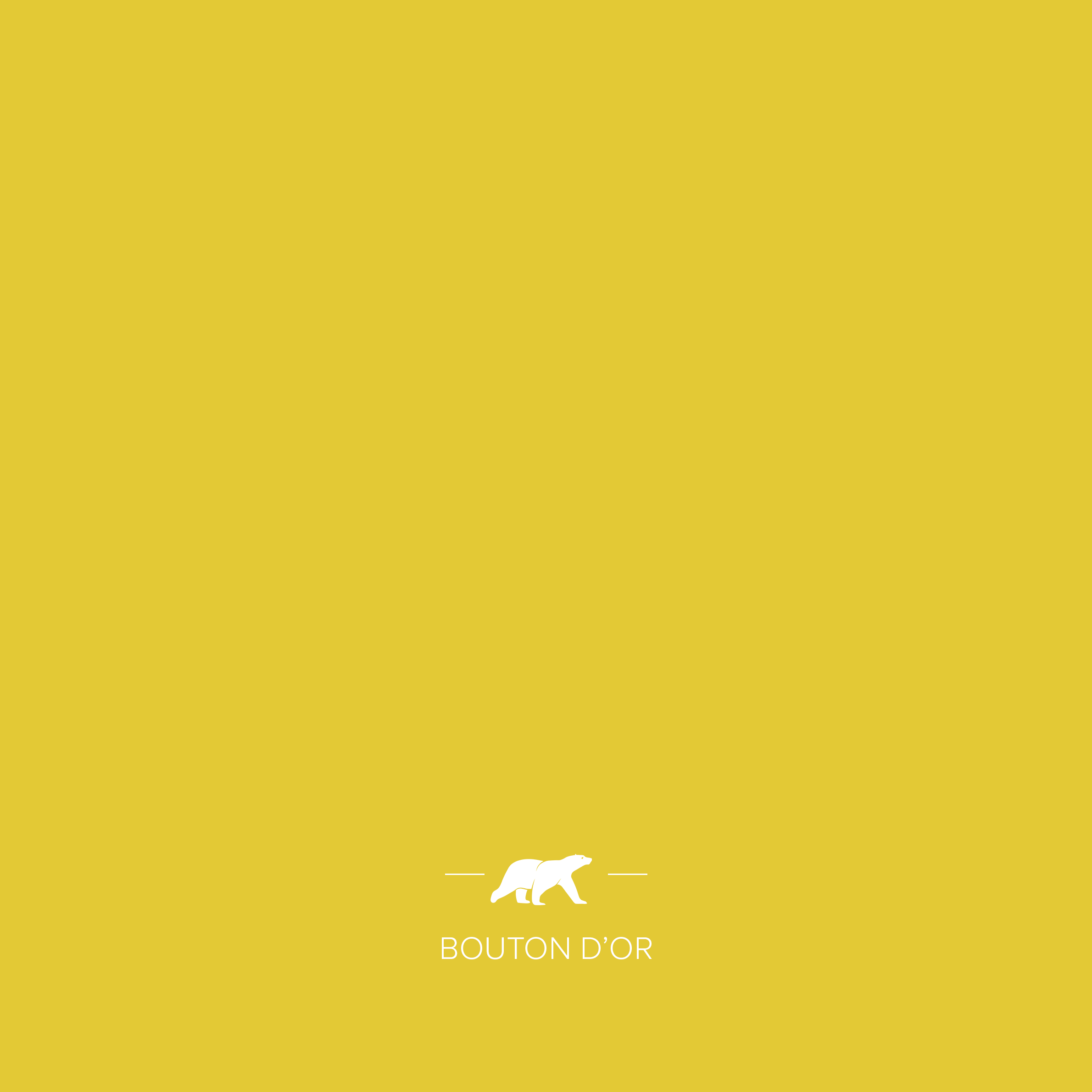 Sticker BOUTON D'OR