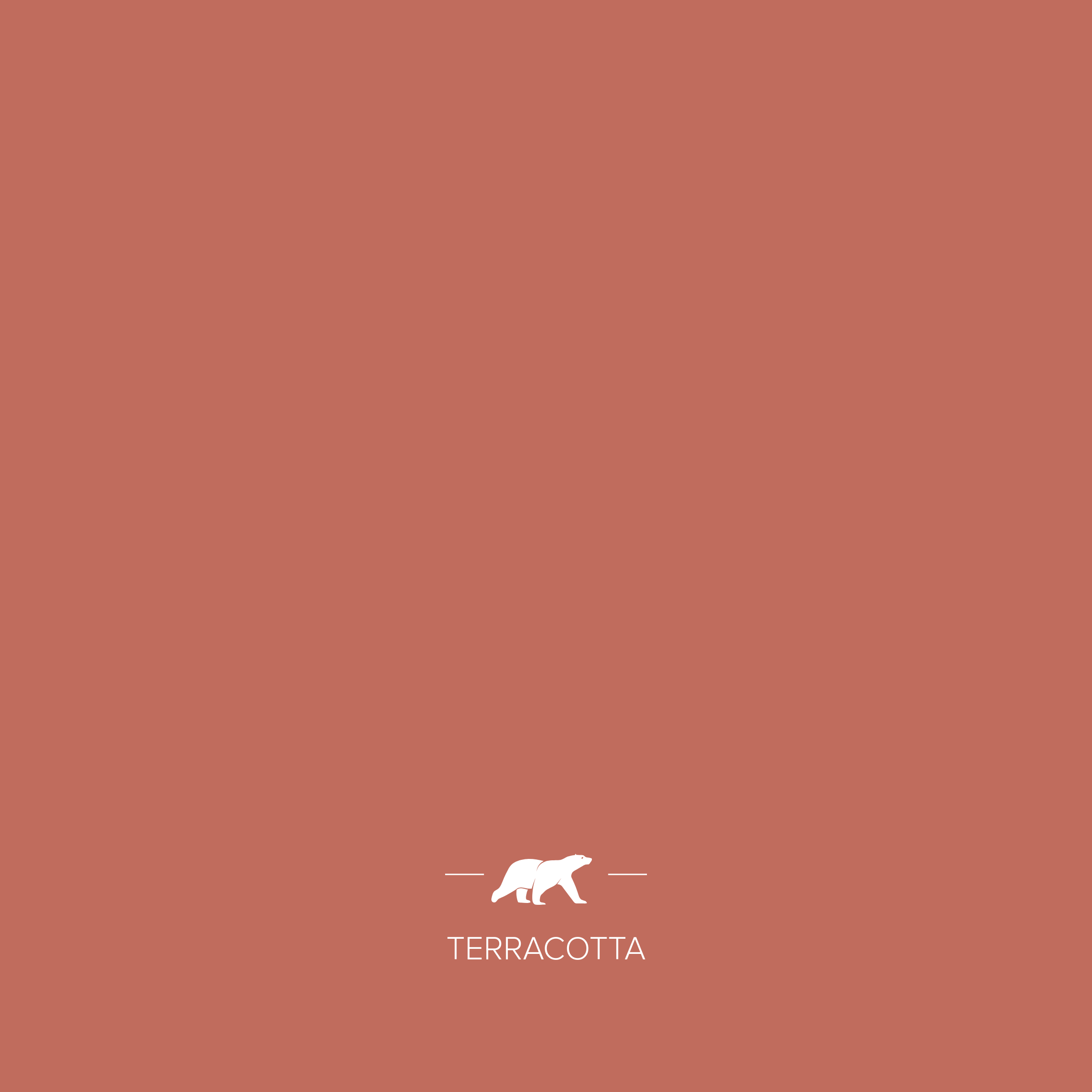 TERRACOTTA